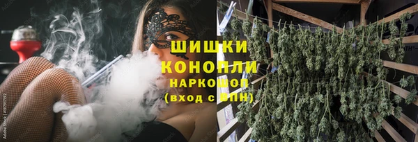 гидра Надым