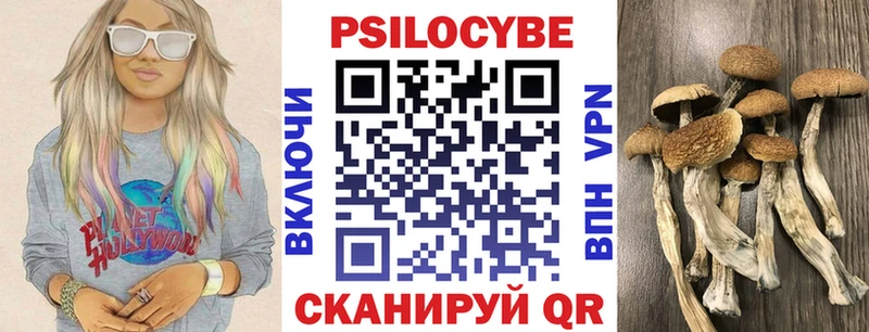 Псилоцибиновые грибы мицелий  Люберцы 